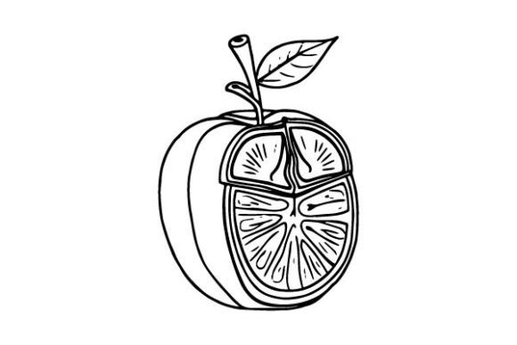Fruits Coloring Pages Printable Drawings Graphics
